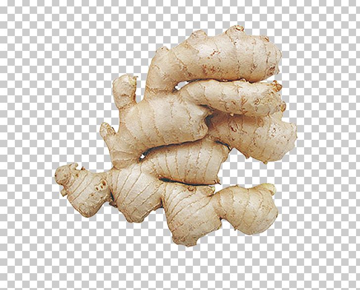 Ginger Root Vegetables PNG, Clipart, Computer Icons, Download, Food Drinks, Fresh Ginger, Galangal Free PNG Download