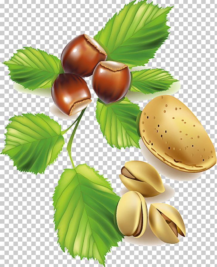 Nut Fruit Vegetable Pistachio PNG, Clipart, Berry, Chestnut, Commodity, Computer Icons, Drawing Free PNG Download