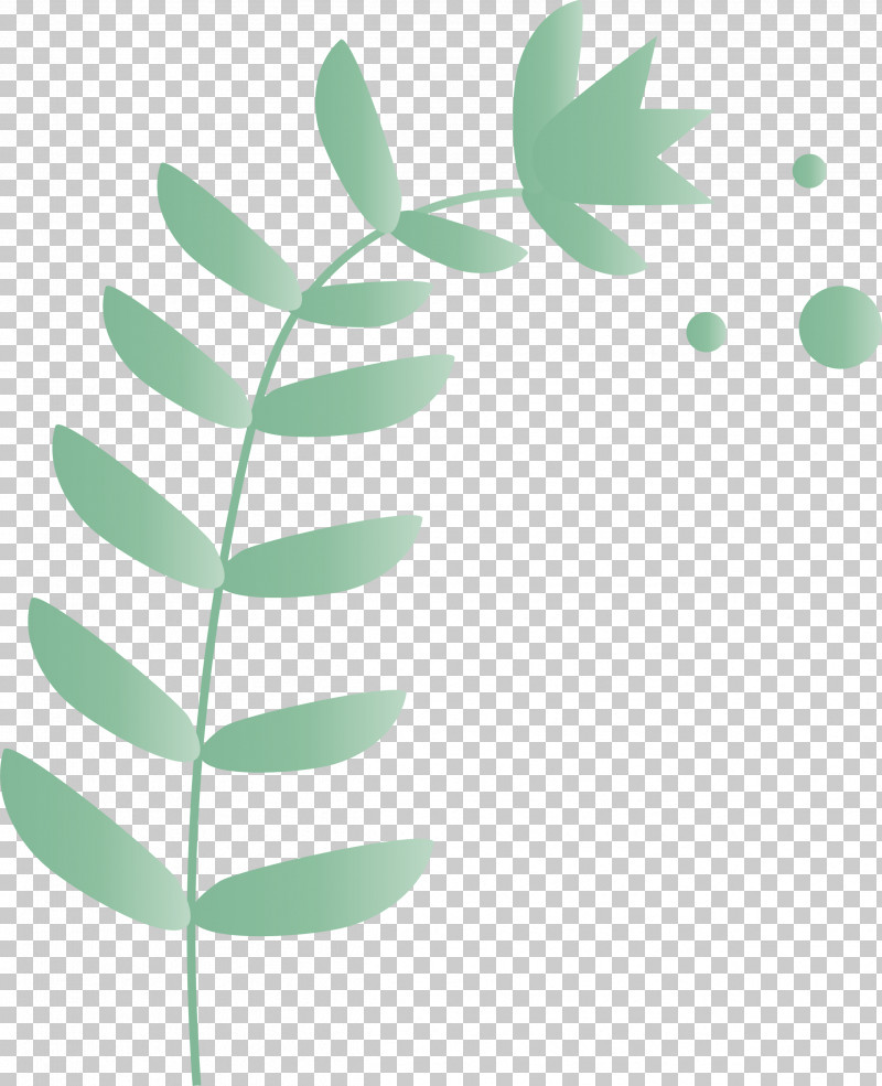 Branch Plant Stem Leaf Flower Green PNG, Clipart, Branch, Flower, Green, Lawn, Leaf Free PNG Download