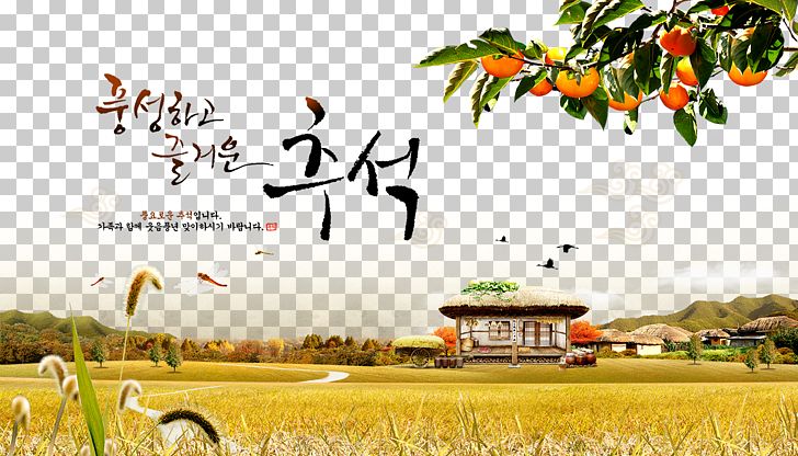 Korean Autumn PNG, Clipart, Advertising, Autumn, Brand, Computer Wallpaper, Countryside Free PNG Download