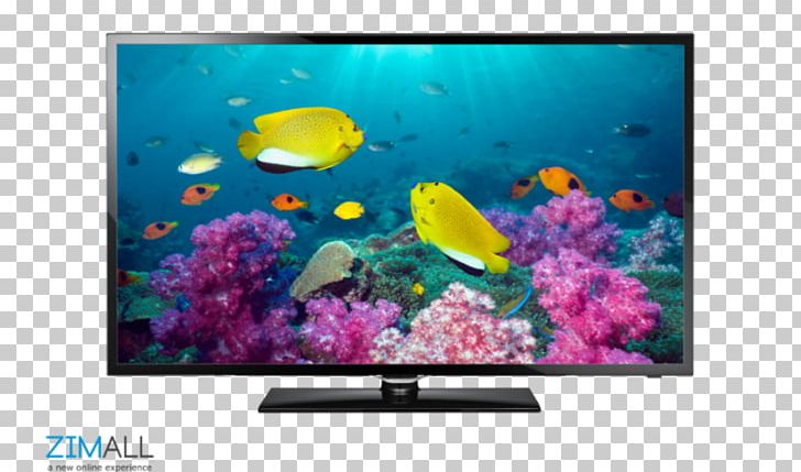 LED-backlit LCD Samsung 1080p High-definition Television Smart TV PNG, Clipart, 1080p, Aquarium, Computer Wallpaper, Display Advertising, Hdmi Free PNG Download