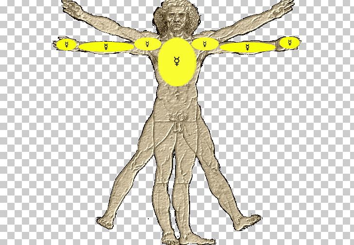 Vitruvian Man Human Body Drawing Arm PNG, Clipart, Anatomy, Arm, Art, Costume Design, Drawing Free PNG Download