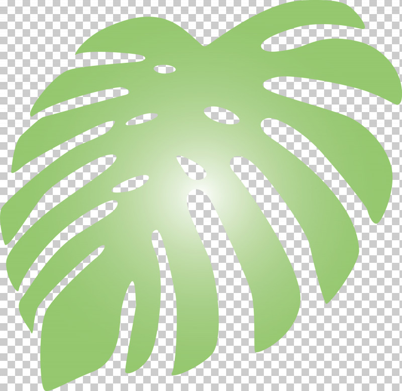 Monstera Tropical Leaf PNG, Clipart, Fruit, Green, Leaf, Line, Meter Free PNG Download