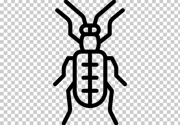 Beetle Entomology PNG, Clipart, Animals, Area, Asparagus, Asparagus Beetle, Beetle Free PNG Download