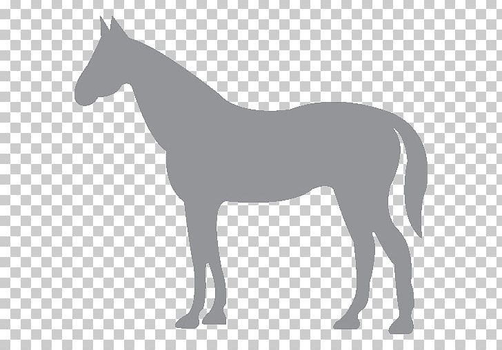 Horse Goat Cat Farm Livestock PNG, Clipart, Agriculture, Animal, Animals, Cat, Colt Free PNG Download