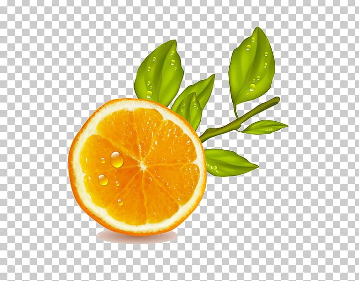 Orange Juice Lemon Fruit PNG, Clipart, Bitter Orange, Citric Acid, Citrus, Encapsulated Postscript, Food Free PNG Download