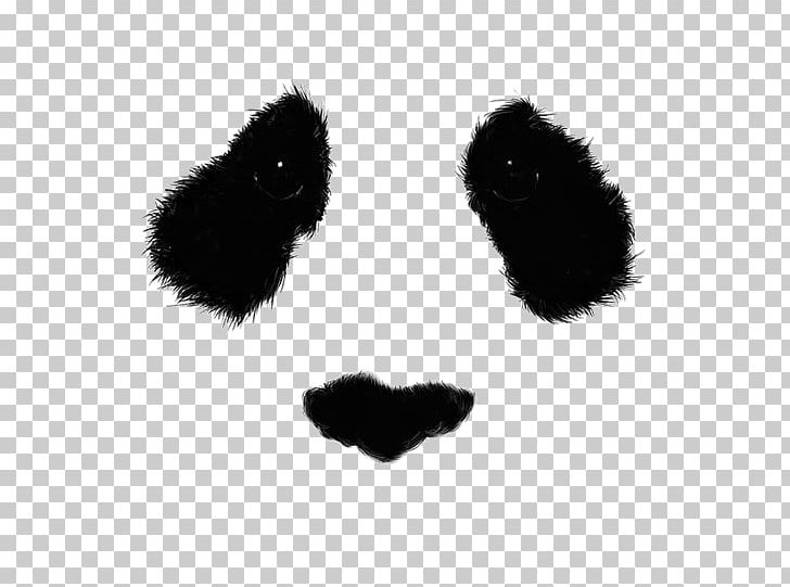 Giant Panda Drawing Bear Eye Art PNG, Clipart, Art, Bear, Black, Black And White, Carnivoran Free PNG Download