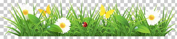 Lawn PNG, Clipart, Clipping Path, Commodity, Computer Icons, Computer Wallpaper, Desktop Wallpaper Free PNG Download
