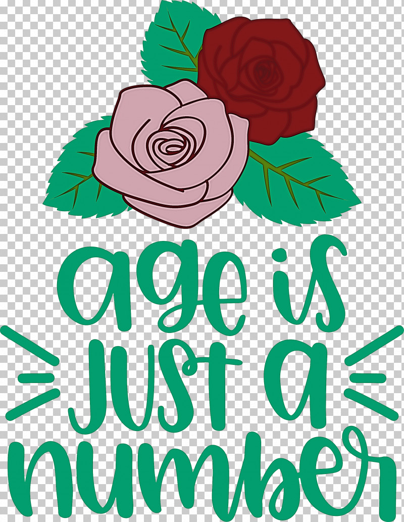 Birthday Age Is Just A Number PNG, Clipart, Birthday, Cut Flowers, Floral Design, Flower, Garden Roses Free PNG Download