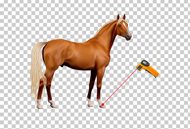 American Paint Horse PNG, Clipart, American Paint Horse, Animal Figure, Bridle, Colt, Computer Icons Free PNG Download