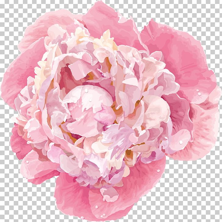 Chinese Peony Flower Graphics PNG, Clipart, Chinese Peony, Cut Flowers, Floral Design, Flower, Flower Bouquet Free PNG Download