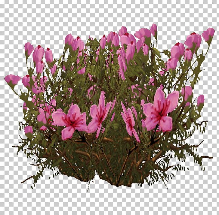Cyclamen Floral Design Pink M Petal PNG, Clipart, Art, Branch, Branching, Cyclamen, Family Free PNG Download
