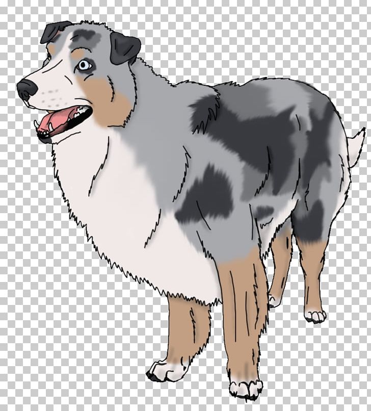 Dog Breed Australian Shepherd Puppy Snout PNG, Clipart, Animals, Australian Shepherd, Breed, Carnivoran, Dog Free PNG Download
