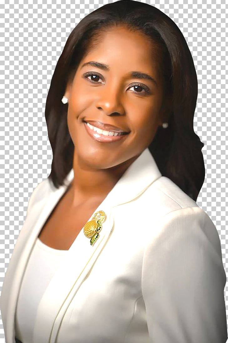 Orlando Orange County Board Of County Commissioners Senator Gary Siplin PNG, Clipart, Advertising, Black Hair, Chin, City Commission, Commissioner Free PNG Download
