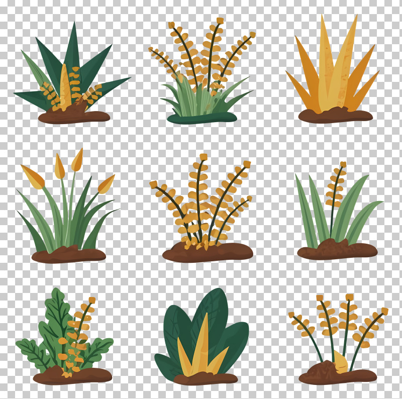 Plants - Creative Illustrations Of Plants And Foliage PNG