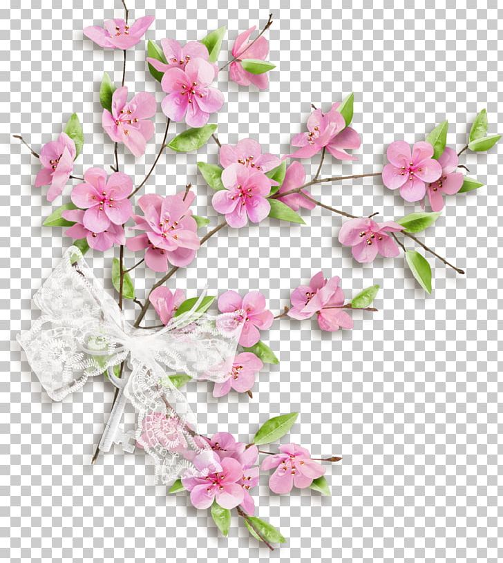 Cut Flowers Floral Design Petal PNG, Clipart, Apples, Artificial Flower, Blossom, Branch, Catkin Free PNG Download