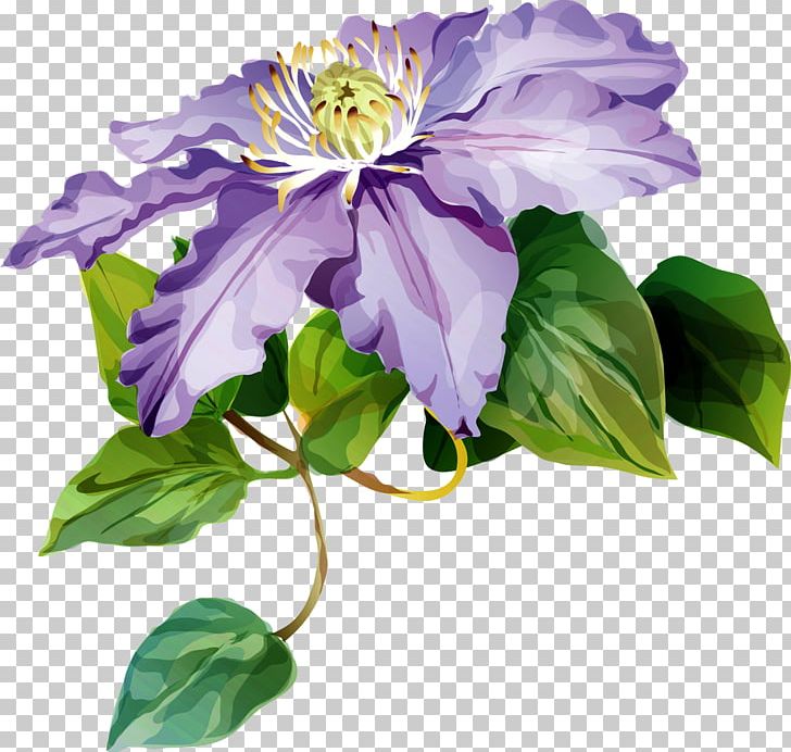 Leather Flower Cut Flowers Purple Petal PNG, Clipart, Annual Plant, Art, Chai, Clematis, Cut Flowers Free PNG Download