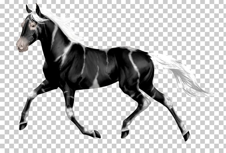 Mustang Stallion Mare Wild Horse Rein PNG, Clipart, Bit, Black, Black And White, Bridle, Canter And Gallop Free PNG Download