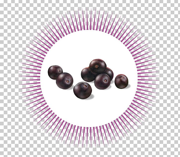 Circle Energy Transition Fruit PNG, Clipart, Circle, Education Science, Energy, Energy Transition, Fruit Free PNG Download