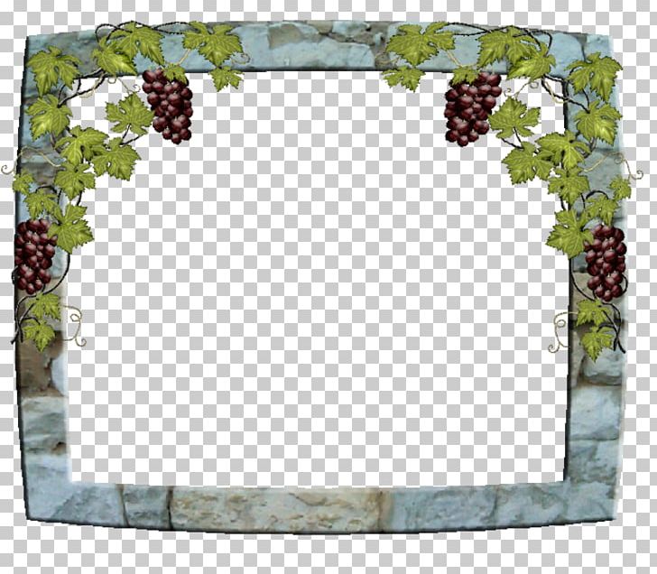Common Grape Vine Frames Vigne Paper PNG, Clipart, Border, Common Grape Vine, Desktop Wallpaper, Flowering Plant, Fruit Nut Free PNG Download