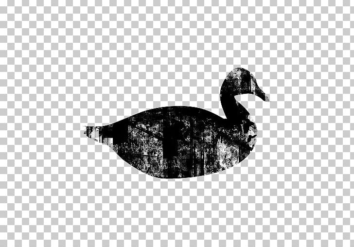 Black Duck Garden Goose IforInterview PNG, Clipart, American Black Duck, Animals, Beak, Bird, Black Free PNG Download