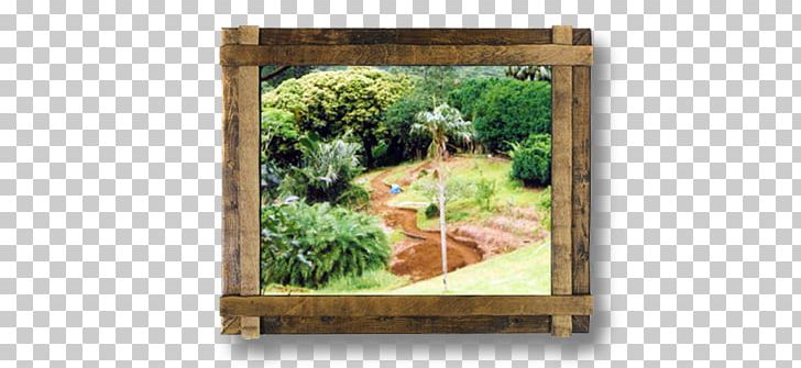 Colchester Gardening Wood Frames /m/083vt PNG, Clipart, Botanical Leaves, Colchester, Gardening, Grass, Green Free PNG Download