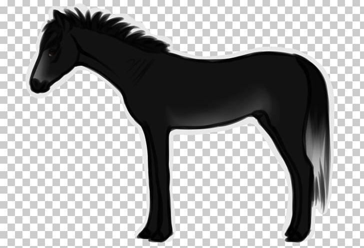Mustang Stallion Foal Colt Mare PNG, Clipart, Black And White, Bridle, Colt, Foal, Halter Free PNG Download