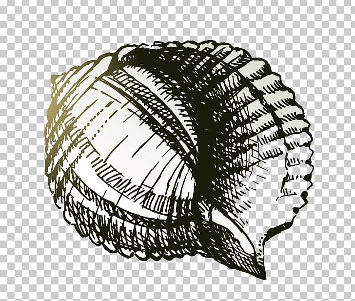 Drawing Sea Snail Painting PNG, Clipart, Black, Black And White, Cartoon, Cartoon Conch, Conch Free PNG Download