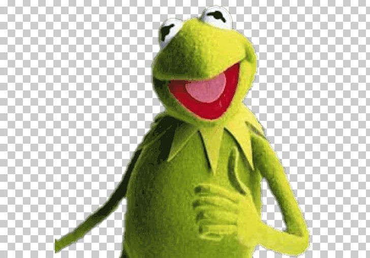 Kermit The Frog Miss Piggy Gonzo Fozzie Bear PNG, Clipart,  Free PNG Download