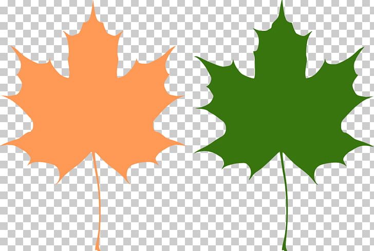 Maple Leaf Canada PNG, Clipart, Canada, Flag Of Canada, Flowering Plant, Leaf, Maple Free PNG Download