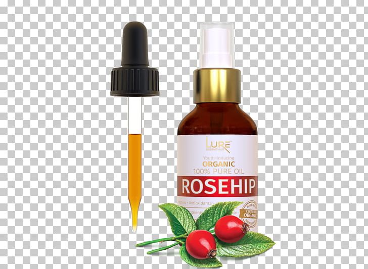 Rose Hip Seed Oil Cupping Therapy Face Facial PNG, Clipart, Acne, Antiaging Cream, Cellulite, Cupping Therapy, Essential Oil Free PNG Download