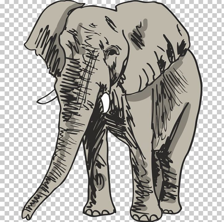 Drawing Elephant PNG, Clipart, Animals, Art, Black And White, Can Stock Photo, Carnivoran Free PNG Download