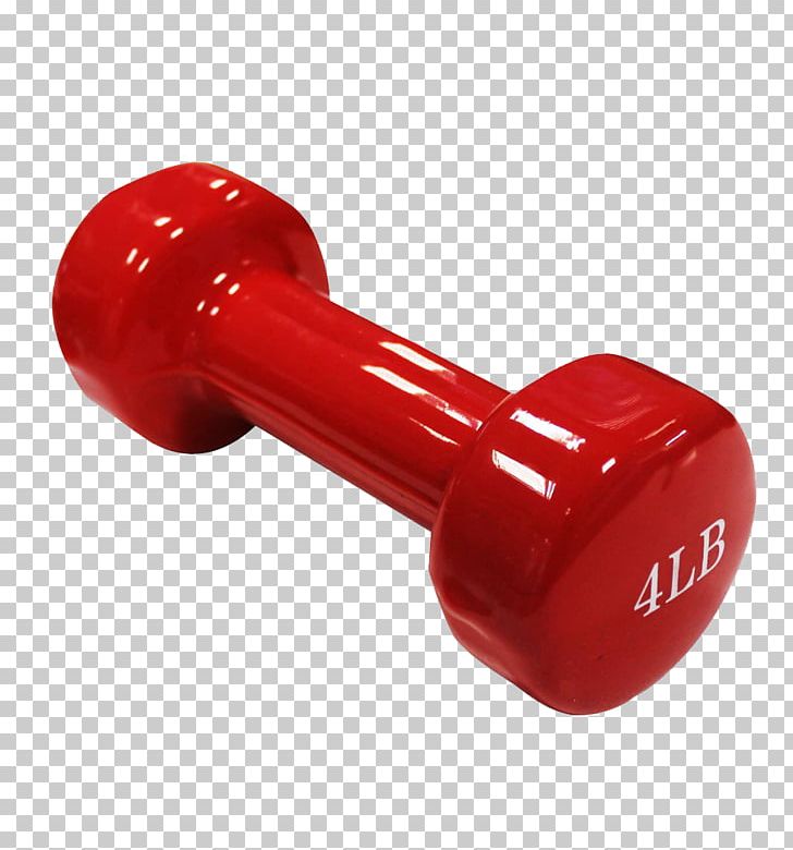 Dumbbell Weight Training Exercise Equipment Barbell Physical Fitness PNG, Clipart, Barbell, Bodybuilding, Crossfit, Dumbbell, Exercise Equipment Free PNG Download