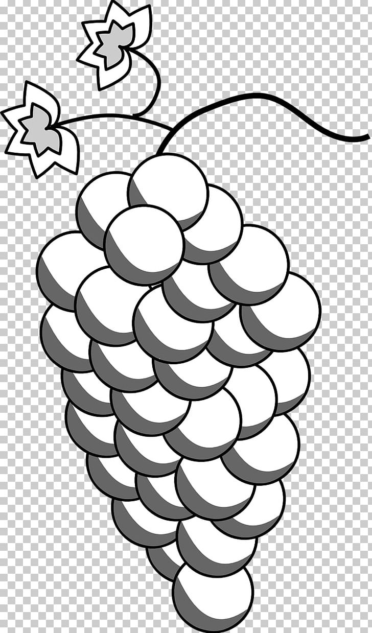 Grape Wine Drawing PNG, Clipart, Auglis, Black And White, Circle, Drawing, Flower Free PNG Download