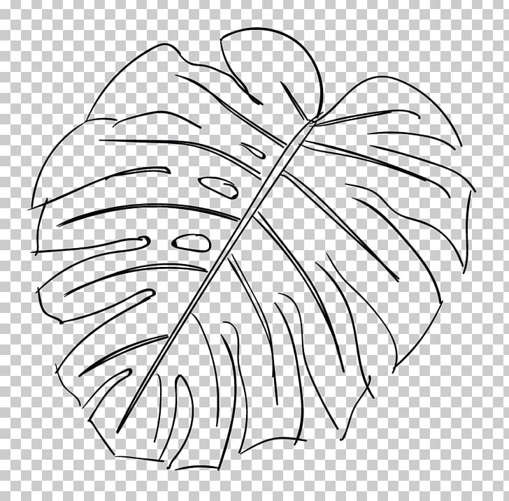 Swiss Cheese Plant Leaf Drawing Sketch PNG, Clipart, Angle, Area, Artwork, Black And White, Doodle Free PNG Download