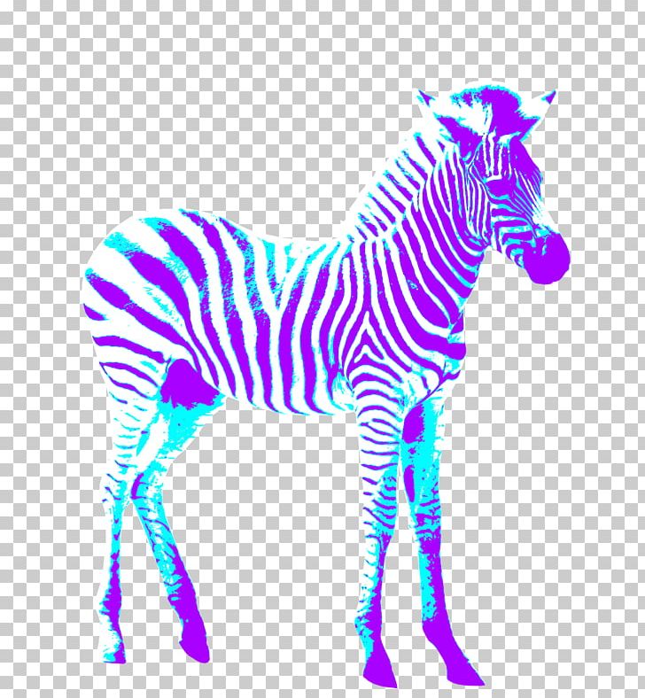 Wedding Invitation Birthday Greeting Card Psychedelia Zebra PNG, Clipart, Animals, Birthday Card, Blue, Cartoon Zebra Crossing, Cool Free PNG Download