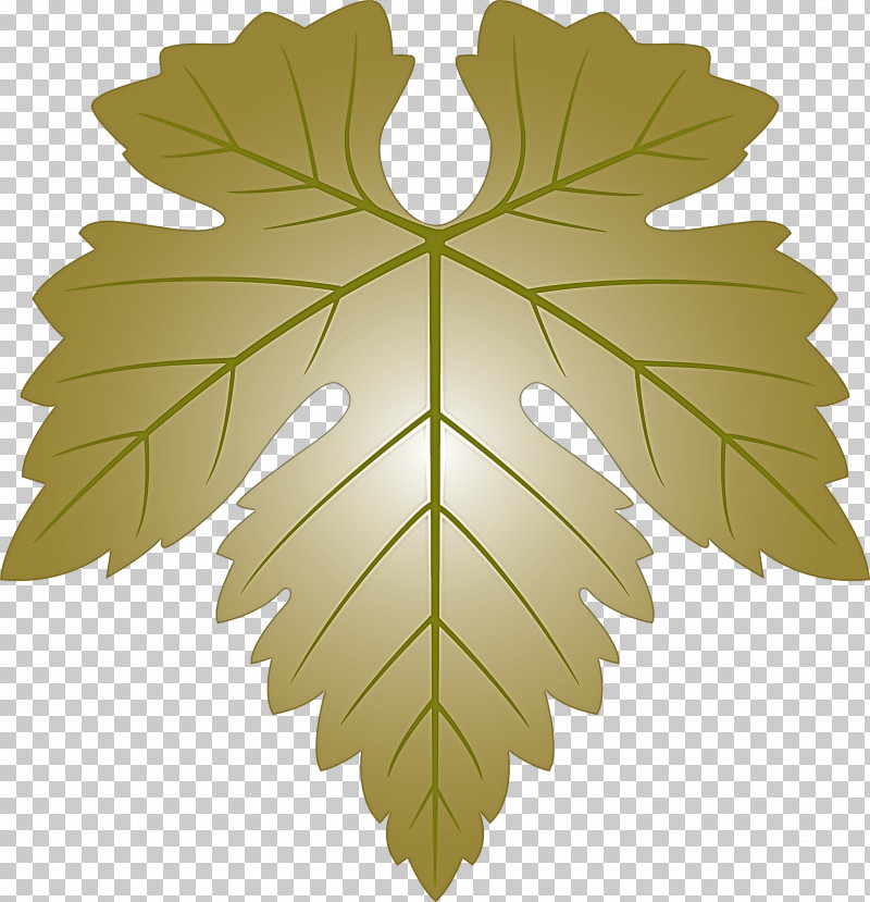 Grapes Leaf Leaf PNG, Clipart, Black Maple, Flower, Grape Leaves, Grapes Leaf, Leaf Free PNG Download