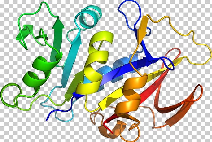 Interleukin-1 Family IL1B Interleukin 1 Receptor PNG, Clipart, Area, Artwork, Cluster Of Differentiation, Eekamouse, Gene Free PNG Download