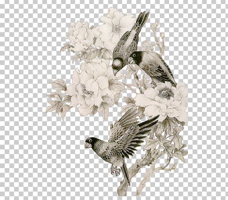 Bird PNG, Clipart, Animals, Beak, Bird, Black And White, Blog Free PNG Download