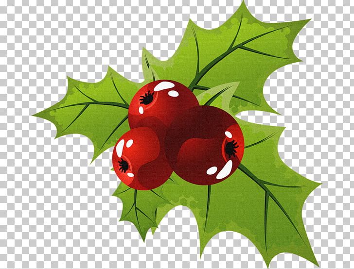 Christmas Flower Joulukukka PNG, Clipart, Aquifoliaceae, Aquifoliales, Blog, Christmas, Christmas Card Free PNG Download