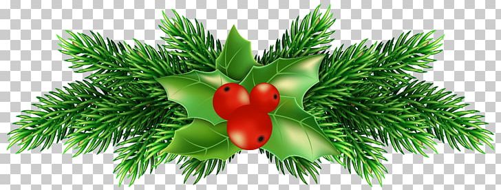 Holly PNG, Clipart, A Christmas Carol, Art Christmas, Blog, Boxing Day, Christmas Free PNG Download