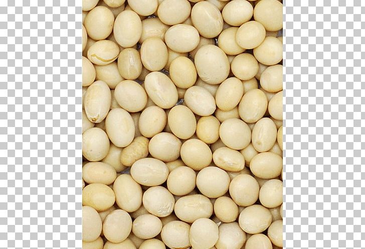 Soybean Glycine Soja Commodity Wholesale PNG, Clipart, Bean, Commodity, Glycine, Ingredient, Nut Free PNG Download