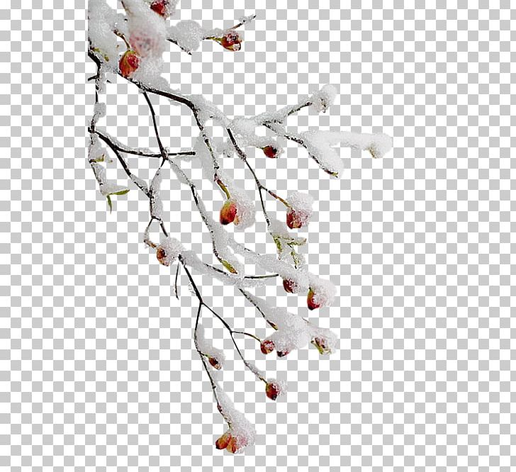 Twig Branch Tree PNG, Clipart, Blossom, Branch, Branching, Christmas, Desktop Wallpaper Free PNG Download