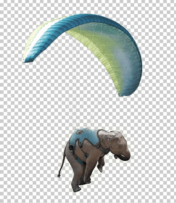 Air Sports Parachute Paragliding Parachuting Windsport PNG, Clipart, Air Sports, Elephant, Microsoft Azure, Motif, Parachute Free PNG Download