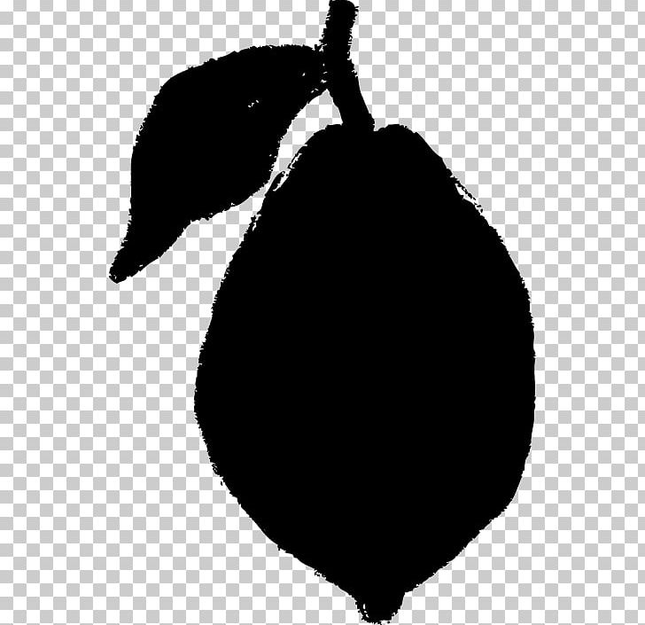 Black And White Lemon PNG, Clipart, Auglis, Background Black, Black, Black And White, Black Background Free PNG Download