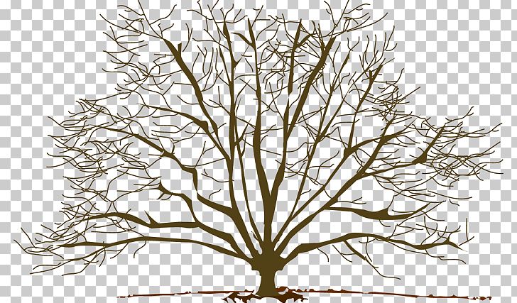 Tree Winter Branch PNG, Clipart, Autumn, Black And White, Blog, Branch, Flowering Plant Free PNG Download