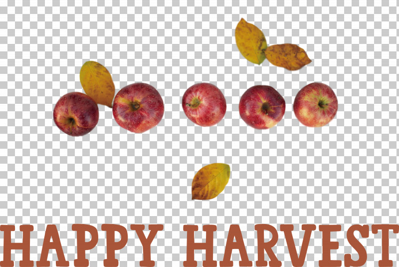 Happy Harvest Harvest Time PNG, Clipart, Bonney Lake, Enumclaw, Fruit Tree, Fruit Tree Pruning, Happy Harvest Free PNG Download