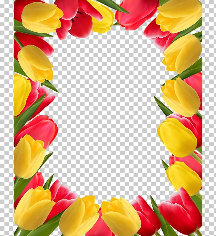Flower Tulip Stock Photography PNG, Clipart, Beautiful, Color, Cut Flowers, Floral Design, Floristry Free PNG Download