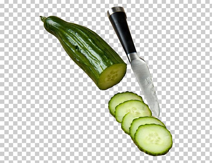 Pickled Cucumber Food Pickling Hamburger Vegetable PNG, Clipart, Cooking, Cucumber, Cucumber Gourd And Melon Family, Cucumber Slice, Cucumis Free PNG Download