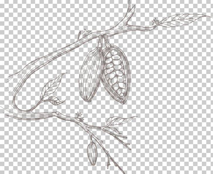 Sketch Product Design Flower Plant Stem PNG, Clipart, American Craft, Artwork, Bar, Bean, Black And White Free PNG Download